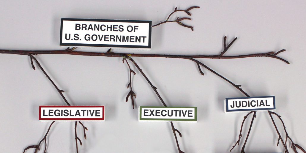Teach Me Branches of Government Make It Fun Blog