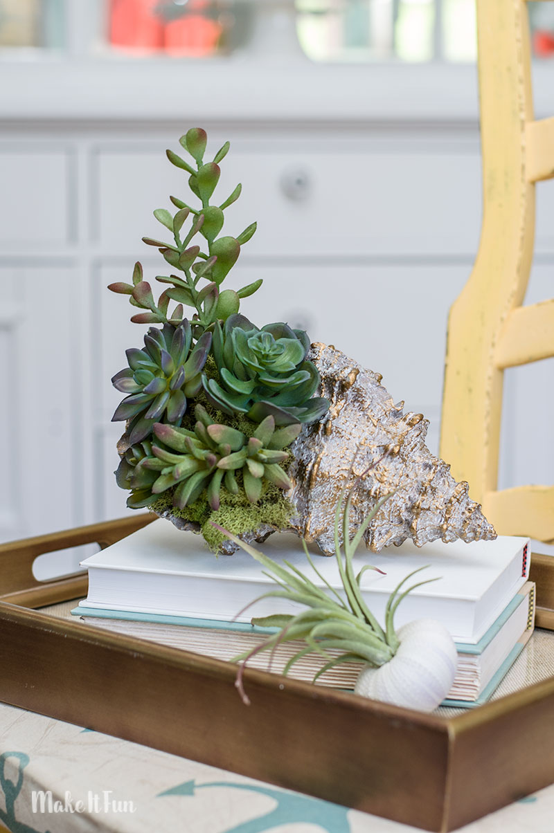 10 Minute Seashell Succulent Arrangement